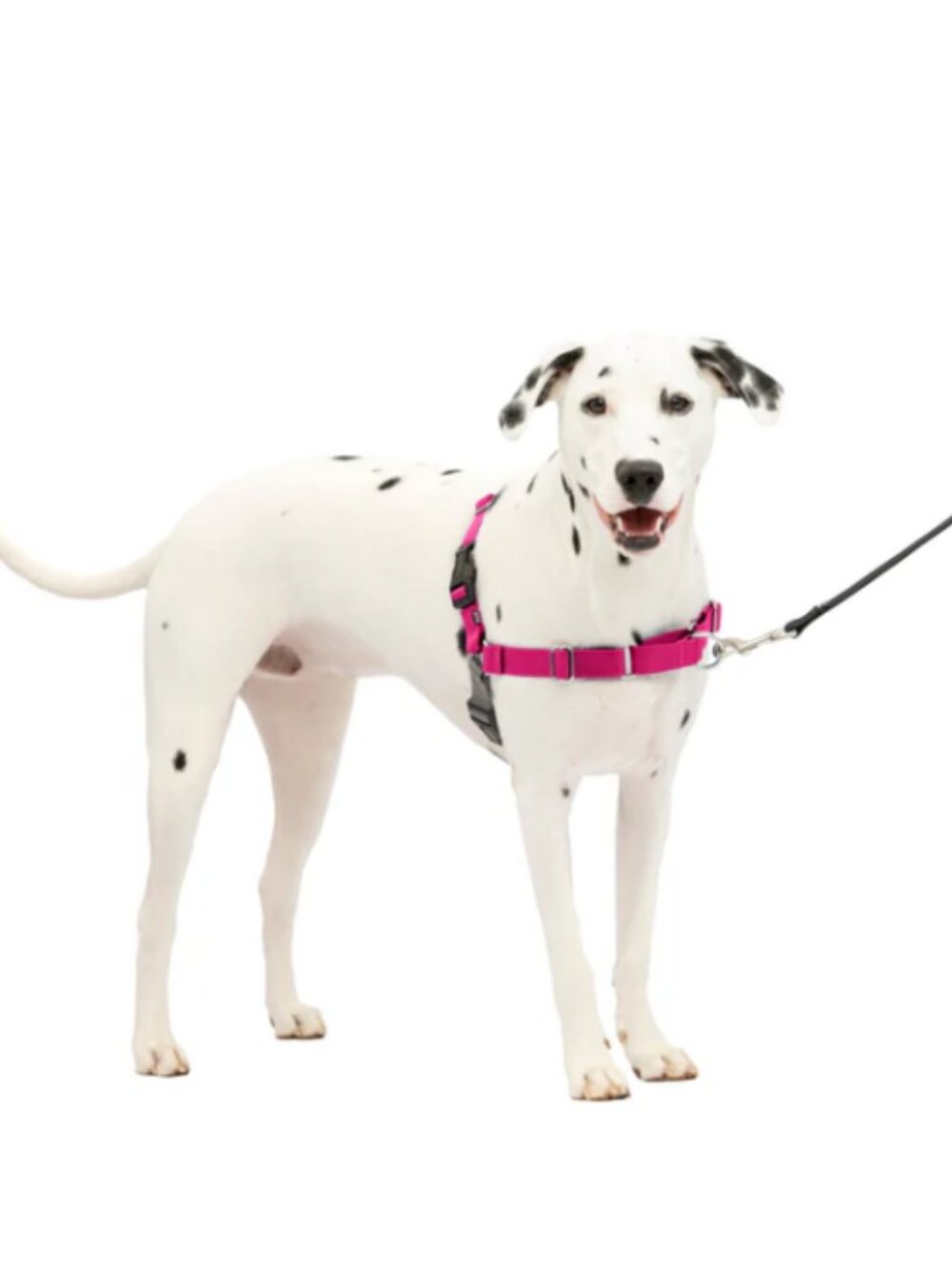 Pet Safe Easy Walk Bright Pink & Gray Harness M/L NWT